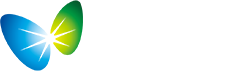 自貢網站建設